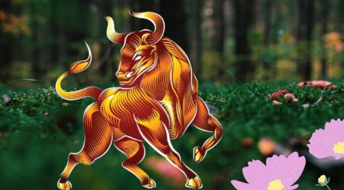 Unlocking Prosperity: Unveiling the Lucky Numbers for a Fortunate Day