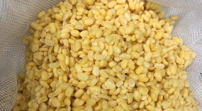 The Ultimate Guide to Mastering the Art of Xôi Xéo: A Delicious Hanoi Treat