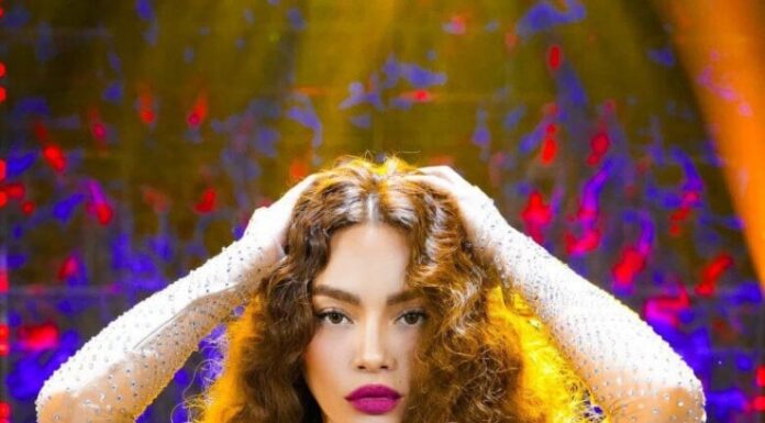 “The Queen of Sheer”: How Ho Ngoc Ha Rocks See-Through Styles with Panache