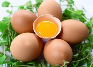 The Doctor’s Warning: The Two Eternal Enemies of Eggs, a Dangerous Duo Even for the Healthy.