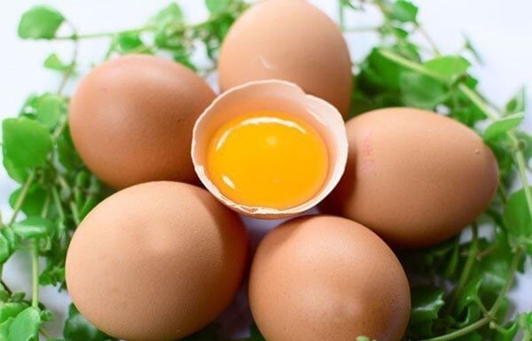 The Doctor’s Warning: The Two Eternal Enemies of Eggs, a Dangerous Duo Even for the Healthy.