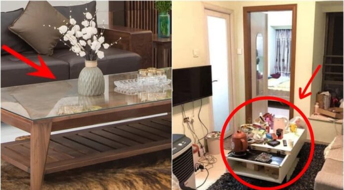 The 3 Silent House Dwellers That Bring Misfortune: Uncover the Mystery.