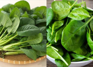 Liver Care is Healthcare: 4 Superfoods for Liver Health that You Should Eat Daily