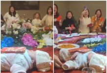 The Baby Spin: A Family’s Dangerous Game.