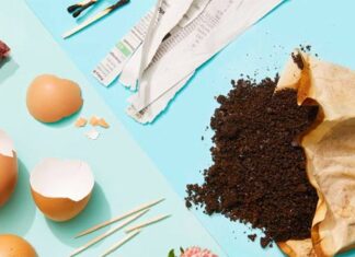 The Magic of Creating Organic Fertilizer at Home