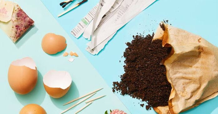 The Magic of Creating Organic Fertilizer at Home