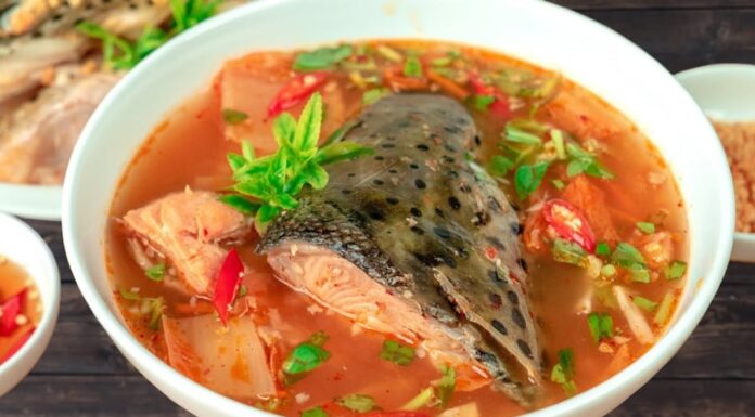 The Ultimate Bone Broths for Joint Health: 3 Calcium-Rich Soups to Soothe and Strengthen Your Body.