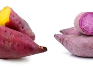 The Great Sweet Potato Conundrum: Purple or Orange?