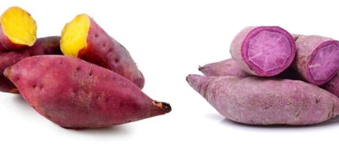 The Great Sweet Potato Conundrum: Purple or Orange?