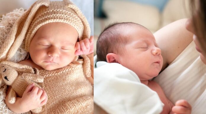 The Ultimate Gift: Unveiling the Secret to a Child’s Success and Family Prosperity