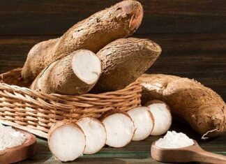 The Tasty Treasure: Unveiling the Surprising Benefits of Vietnam’s Golden Root Export to China