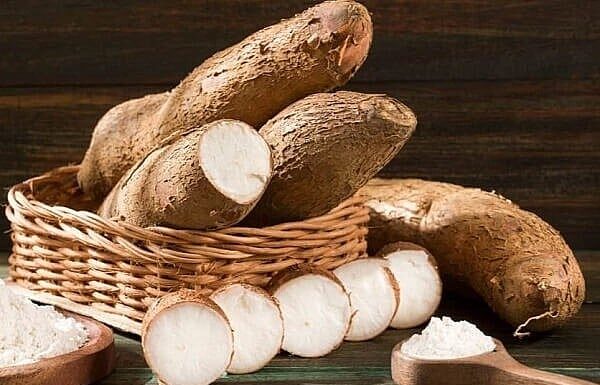 The Tasty Treasure: Unveiling the Surprising Benefits of Vietnam’s Golden Root Export to China