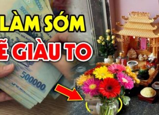 The Ultimate Guide to Offering Flowers to the God of Wealth: 4 Blossoms that Attract Fortune, Prosperity, and Renown