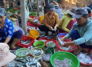 The Ultimate Guide to Vietnam’s Hidden Gem: Discover Phu Yen’s All-in-One Central Market