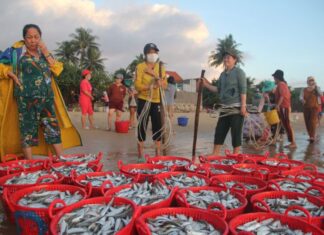 The Hidden Gem of Phu Yen: A Seafood Lover’s Paradise by the Beach