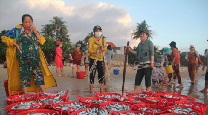The Hidden Gem of Phu Yen: A Seafood Lover’s Paradise by the Beach