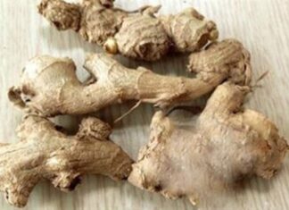 The Ultimate Kitchen Clean-Out: 5 Items to Toss Now for a Healthier You