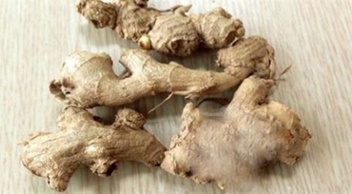 The Ultimate Kitchen Clean-Out: 5 Items to Toss Now for a Healthier You