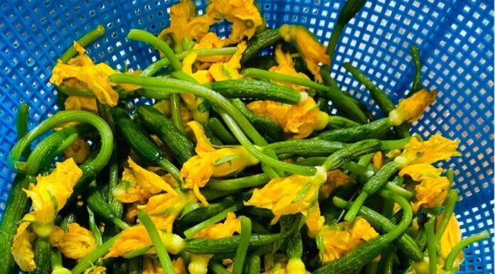 Stir-fried Cucumber Flowers with Termite Mushrooms: A Refreshing, Nutritious Family Meal