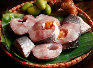 The Secret to Odorless Fish Storage: Achieving Golden Hue and Firm Flesh