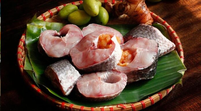 The Secret to Odorless Fish Storage: Achieving Golden Hue and Firm Flesh