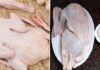 The Ultimate Guide: Transforming Stinky Duck into a Culinary Delight with 5 Easy Tips