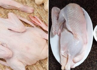 The Ultimate Guide: Transforming Stinky Duck into a Culinary Delight with 5 Easy Tips
