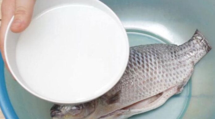 The Magic Brew: Transform Any Fish into a Delicacy with This Simple Soak