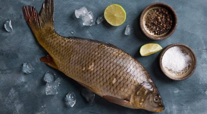 6 Tips to Remove the Fishy Odor – The Secret to a Perfect Dish