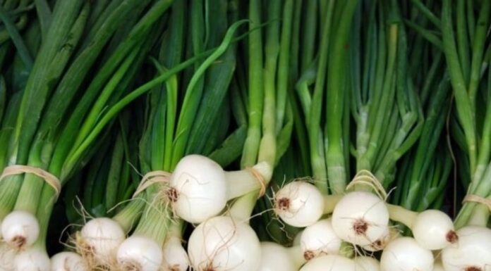 “Two Types of Vegetables You Should Avoid: The ‘Super Dirty’ Duo Laden with Pesticides that Many Unknowingly Consume”