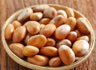 The Underrated Superfood: Uncovering the Nutritional Power of a Humble Seed in Vietnam