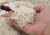 The Ultimate Rice Storage Solution: Keep Pests at Bay All Year Round