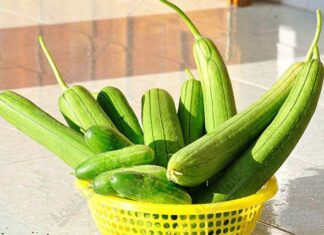 The Ultimate Guide to Stir-Frying Cucumber with Vegan “Meat”: A Quick, Delicious Treat for the Family