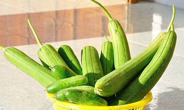 The Ultimate Guide to Stir-Frying Cucumber with Vegan “Meat”: A Quick, Delicious Treat for the Family