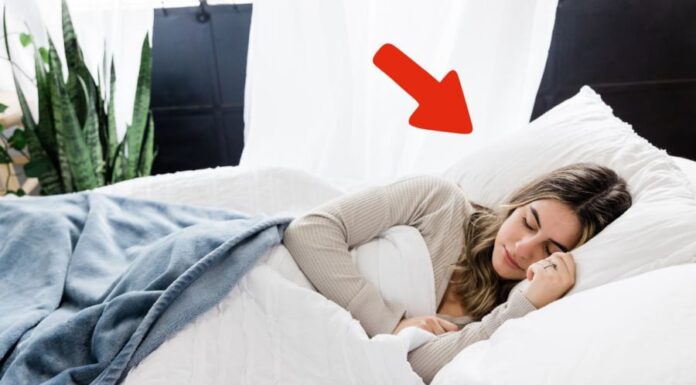 The Ultimate Guide to a Good Night’s Sleep: Uncover the Ancient Feng Shui Secret That Transforms Your Bedroom Into a Haven of Rest.