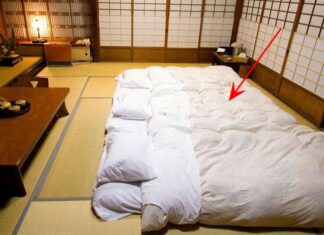 Why Do the Japanese Sleep on the Floor Despite the Cold Winters?