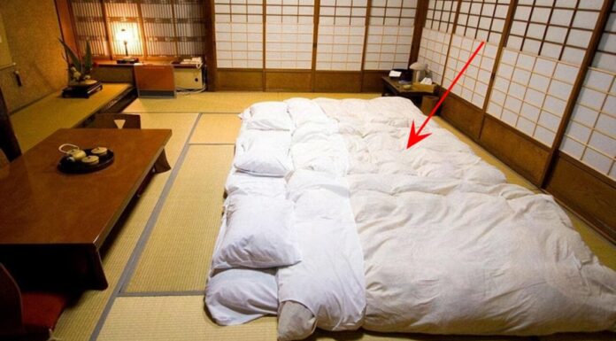 Why Do the Japanese Sleep on the Floor Despite the Cold Winters?