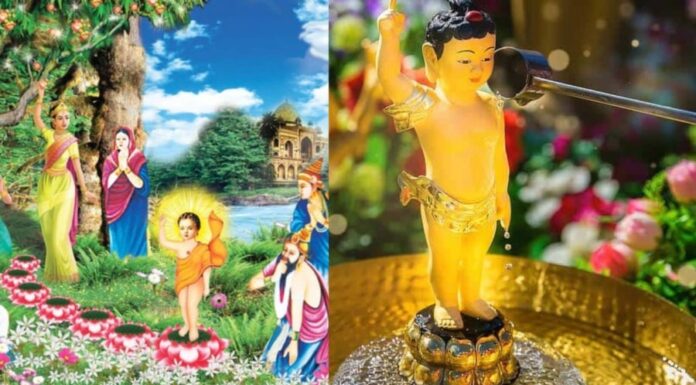 The Buddha’s Birthday (4th Lunar Month): Should We Offer Incense and Wine, Burn Paper Money?