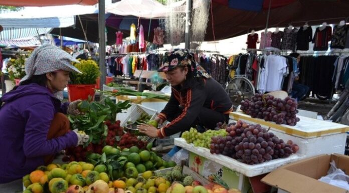 The Last of Its Kind: A Rural Market in the Heart of Thai Binh, Offering Delicacies Unfound in the City