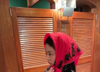 “The Art of Hair Accessorizing: Elevate Your Style with Creative Flair”