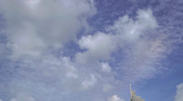 The Ultimate Guide: 5 Ways to Style Sheer Shirts for a Sexy, Chic Look That’s Perfect for Work and Play