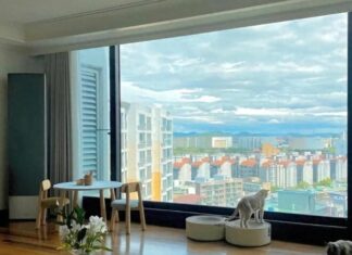 The Crystal Clear Glass Window: Why is it Getting the “Black Mark”? These 6 Reasons Reveal All.