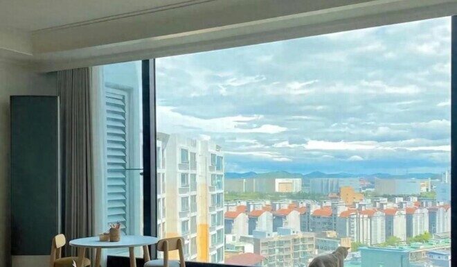 The Crystal Clear Glass Window: Why is it Getting the “Black Mark”? These 6 Reasons Reveal All.