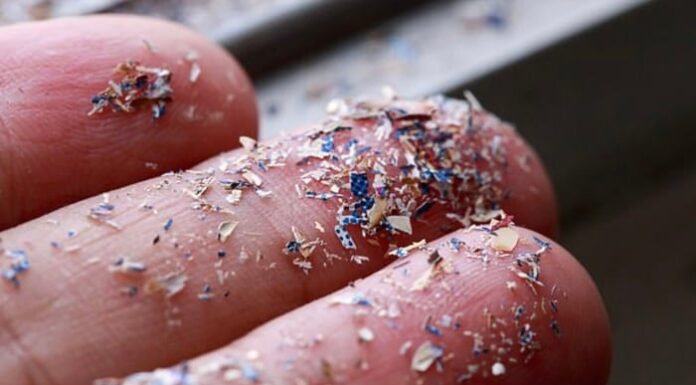 ‘Shocking’ Reveal: 4 ‘Healthy’ Foods Laden with Microplastics: Are They in Your Daily Diet?
