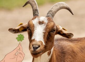 The Weekend Extravaganza: 3 Years of Abundant Luck, Surprising Wealth Beyond Imagination