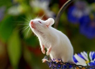 The Big 3: Unlocking Massive Wealth and Fortune, Be the First to Win Big!