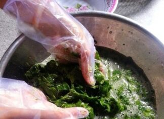 The Ultimate Guide to Offal: Transforming Lungs with a Magic Leaf Blend for a Crispy, Tangy Treat