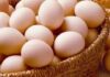What Happens to Your Body When You Eat More Than 7 Eggs a Week? The Surprising Truth Revealed!