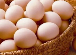 What Happens to Your Body When You Eat More Than 7 Eggs a Week? The Surprising Truth Revealed!
