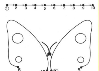 The Ultimate Brain-Boosting Activity: 15 Smart Number-Connecting Coloring Pages for Kids
